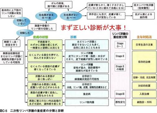 リンパ浮腫の考え方と治療の基本 一般社団法人 日本リンパ浮腫学会